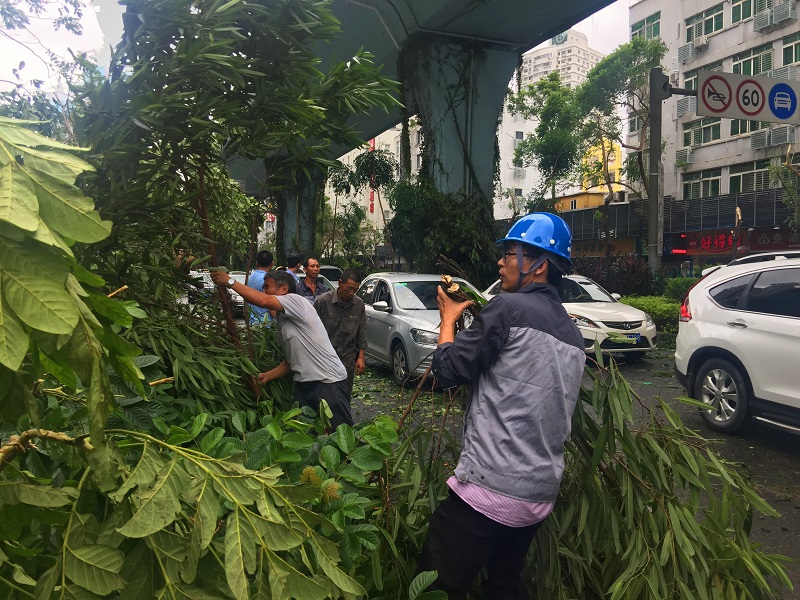 風雨無阻，保衛(wèi)家園，我們在行動